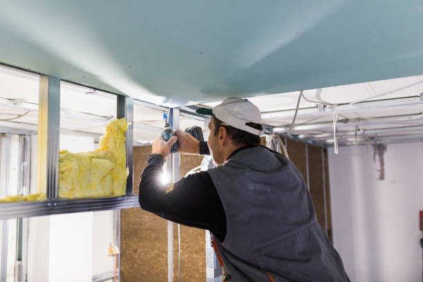 Best Specialty Insulation in Massanutten, VA
