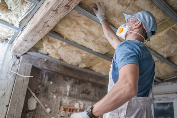 Best Insulation Installation Services in Massanutten, VA
